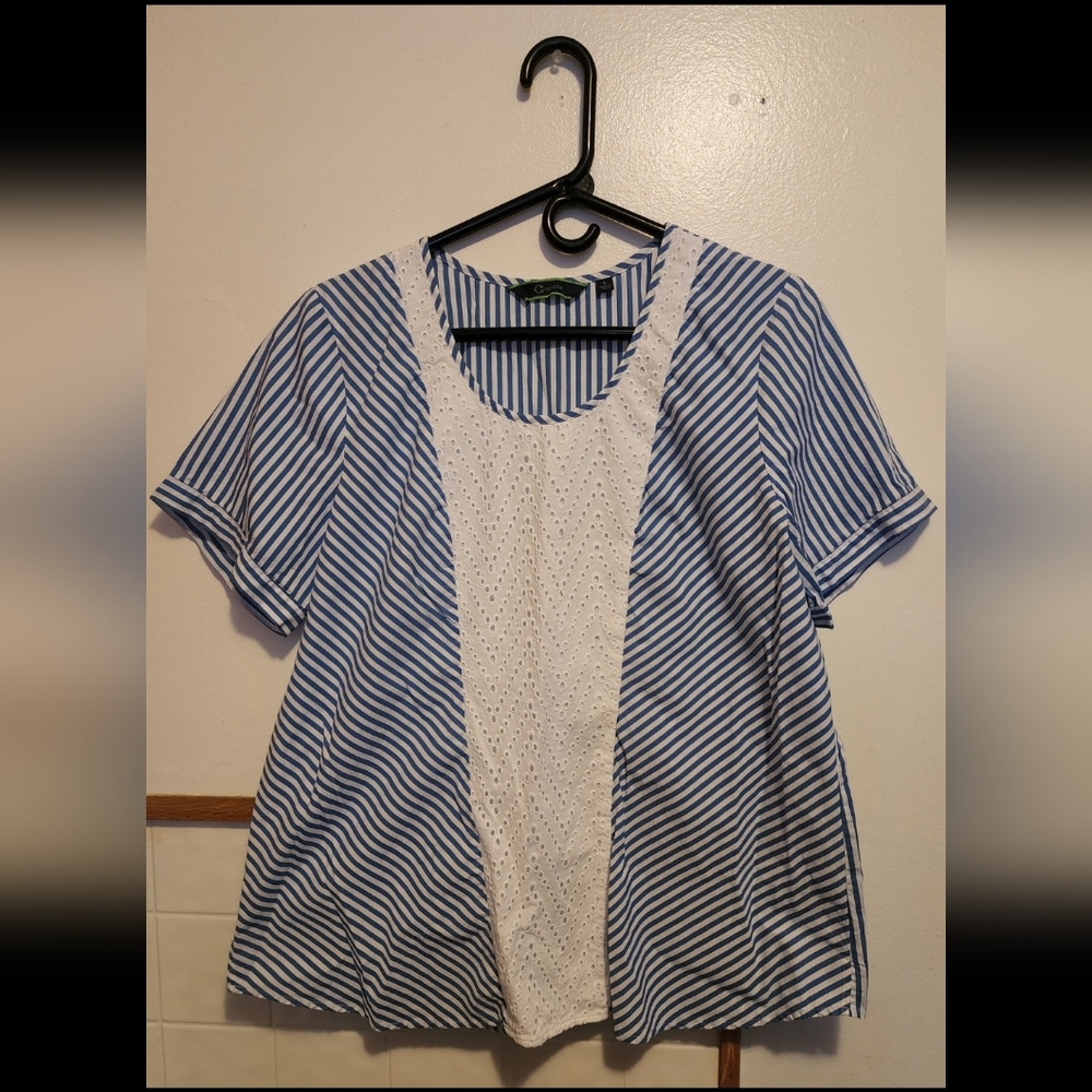 *Blue Striped Top